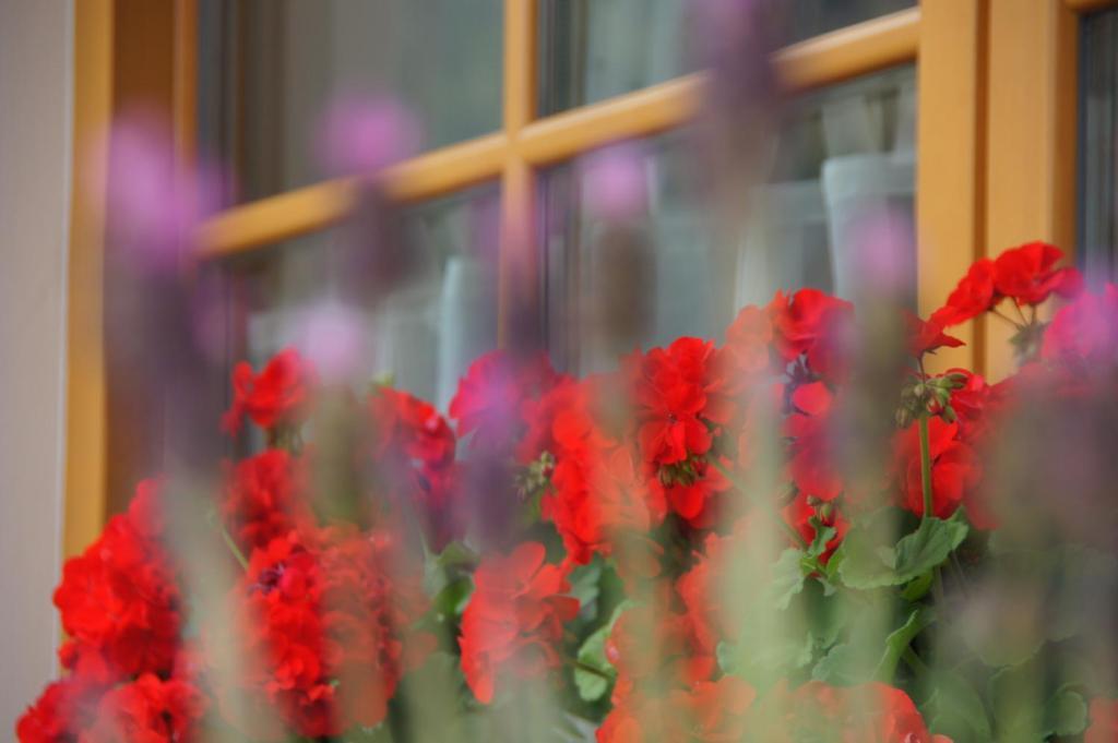 Garni Tofana Hotel กอร์วารา อิน บาเดีย ภายนอก รูปภาพ