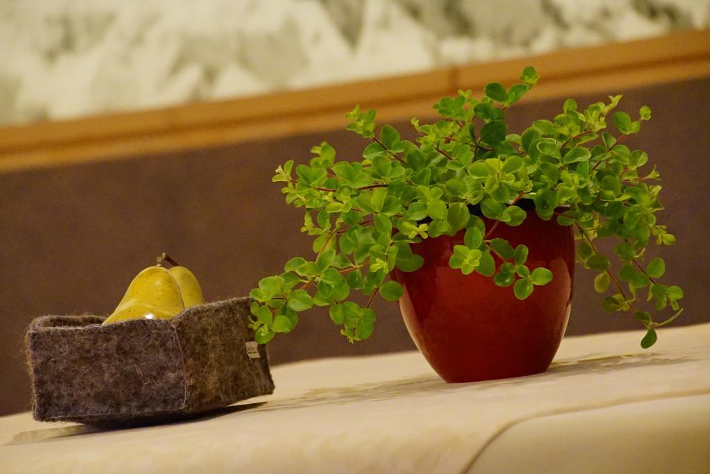 Garni Tofana Hotel กอร์วารา อิน บาเดีย ภายนอก รูปภาพ